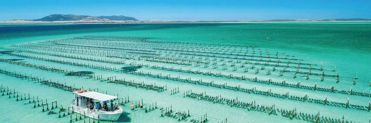 oyster farm at Eyre Peninsula