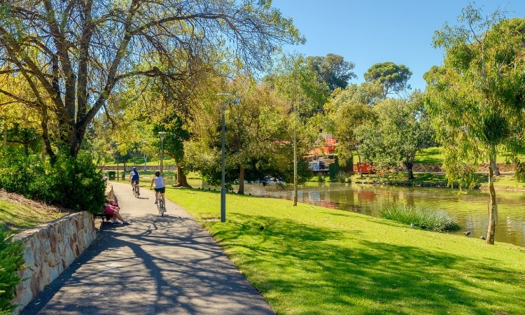 cyclists along the torrens river